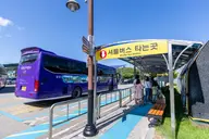 삼척 해양레일바이크 사진 2