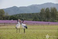 고석정국민관광지 사진 2