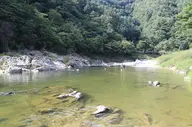 미산분교 캠핑장 사진 2