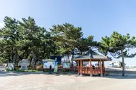 맹방해변 사진 3