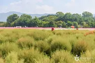나리농원 사진 2