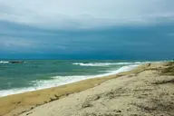 순포해변 사진 2