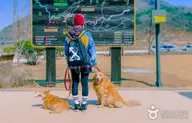 한탄강 주상절리길(포천) 사진 3