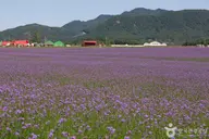 고석정국민관광지 사진 3