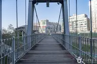 용인 구갈레스피아 사진 2