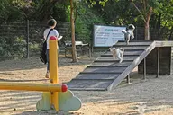 광교호수공원 반려견 놀이터 사진 3