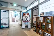 세인트존스호텔 파인 인피니티풀 사진 2