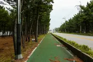 순포해변 사진 3