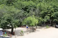 반디하우스캠핑장 사진 2