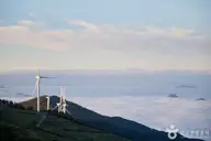 평창 육백마지기 사진 3