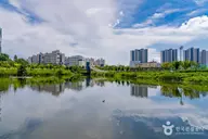 선납숲공원 사진 2