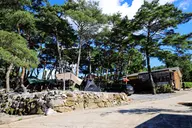 영월한반도캠핑장 사진 3