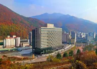 그랜드 인투라온호텔 정선
