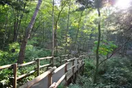 여강길 사진 3