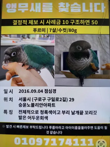 기타축종, 기타 분실동물 사진