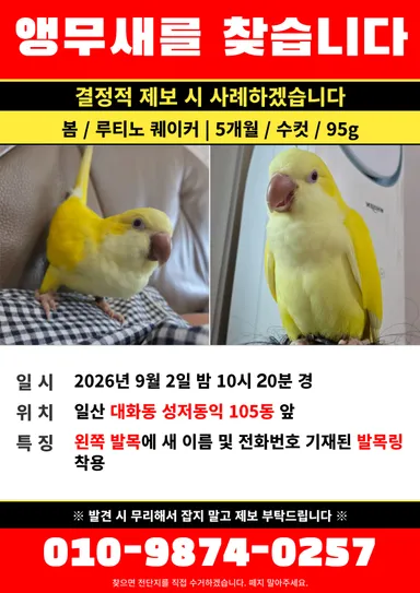 기타축종, 기타 분실동물 사진